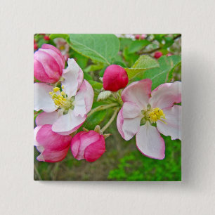 Apple Blossom Time 15 Cm Square Badge
