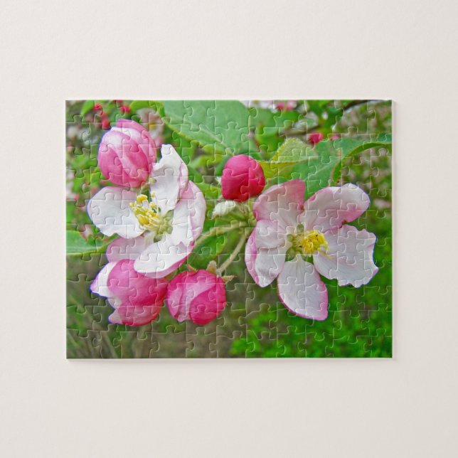 Apple Blossom Time Jigsaw Puzzle (Horizontal)