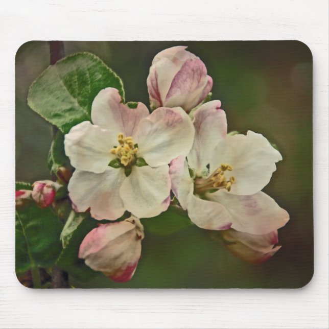 Apple Blossom Time Mouse Pad (Front)
