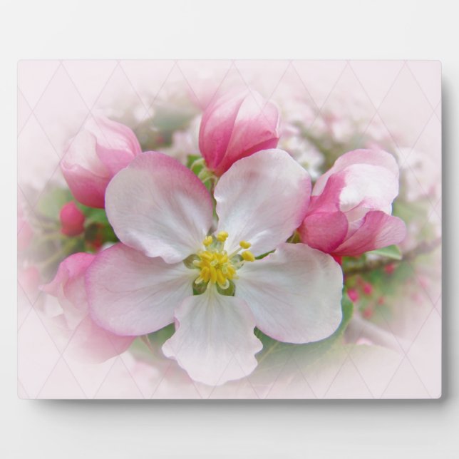 Apple Blossom Time Plaque (Front)