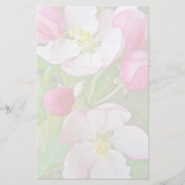 Apple Blossom Time Stationery (Front)