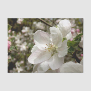 Apple Blossom Tissue Paper