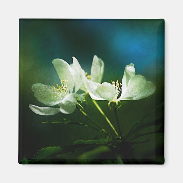 Apple Blossom - Two Flowers Magnet (Front)
