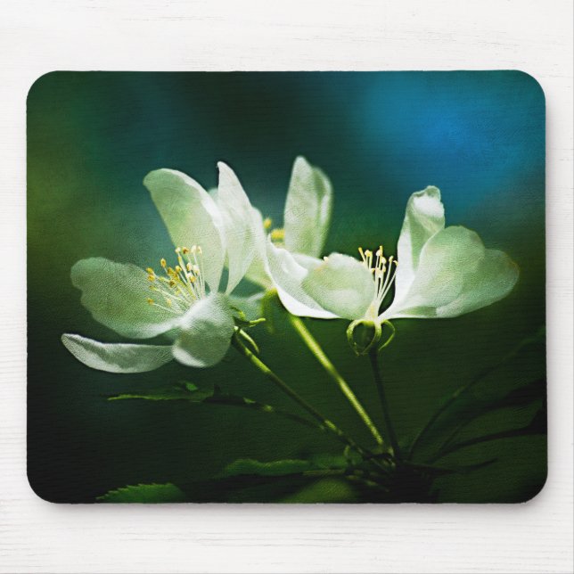 Apple Blossom - Two Flowers Mouse Pad (Front)