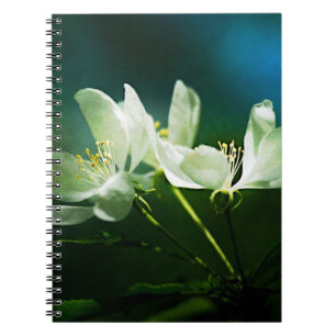 Apple Blossom - Two Flowers Notebook