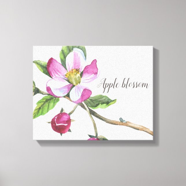 Apple Blossom Watercolor Canvas Print (Front)