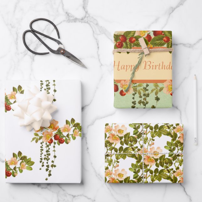 Apple Blossoms and Rosehips Assorted Wrapping Paper Sheet (Front)