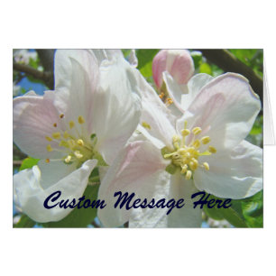 Apple Blossoms Flowers Custom Cards Floral