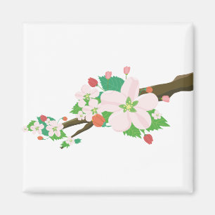 Apple Blossoms Flowers Nature Fruit Tree Spring Magnet