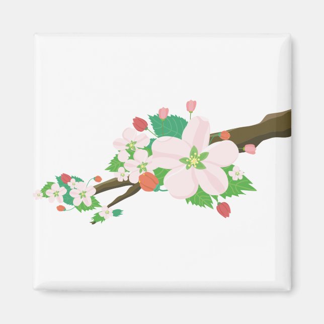 Apple Blossoms Flowers Nature Fruit Tree Spring Magnet (Front)