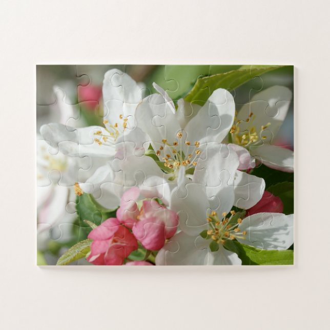 Apple Blossoms Flowers Oversized Jigsaw Puzzle (Horizontal)
