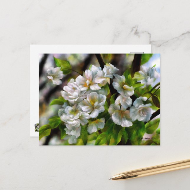 Apple Blossoms Holiday Postcard (Front/Back In Situ)