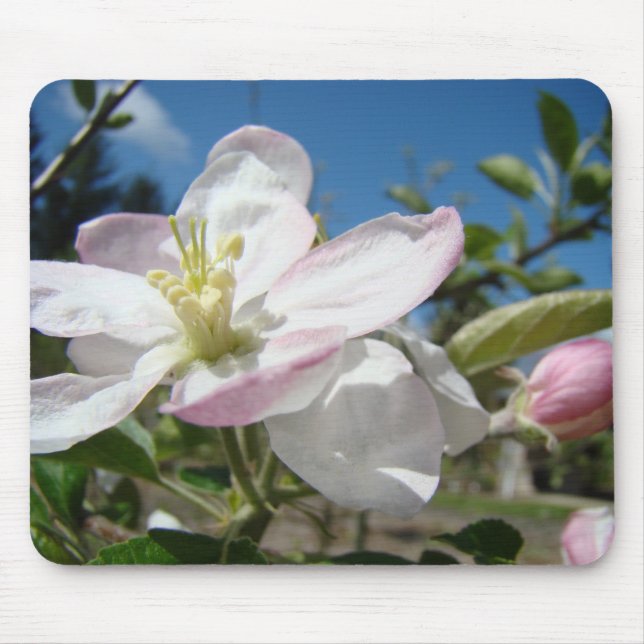 Apple BLOSSOMS MOUSEPADS Pink Blossoms Mousepad (Front)