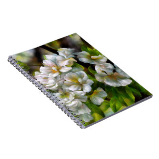 Apple Blossoms Notebook