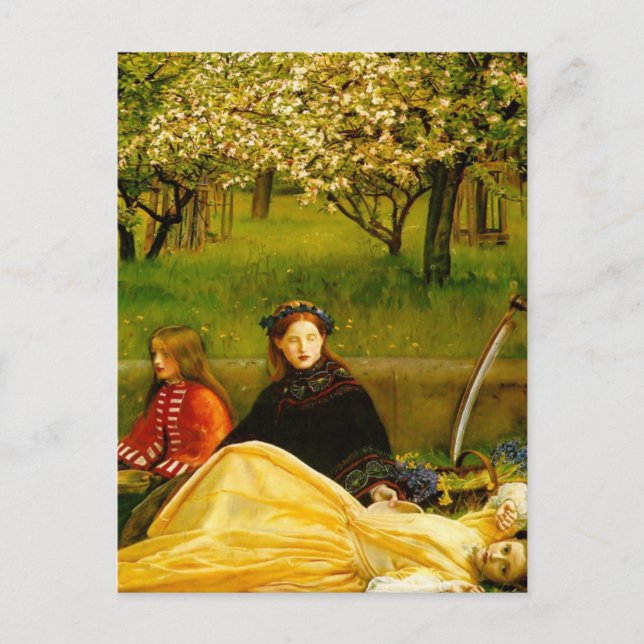 Apple Blossoms Spring Fine Art Postcard (Front)