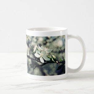 Apple blossoms spring mug