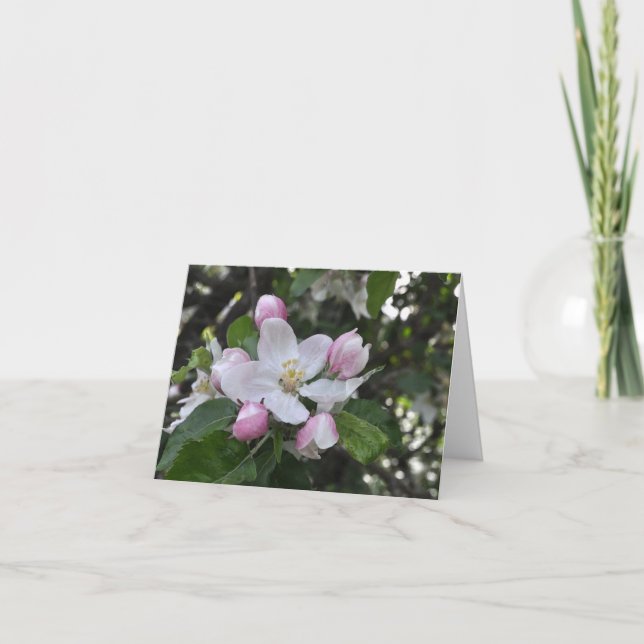 Apple Blossoms Thank You Card (Front)