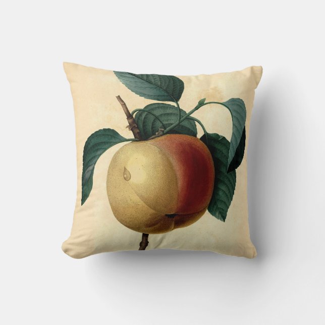 Apple Botanical Illustration Cushion (Front)
