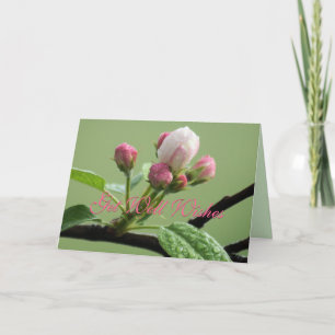 Apple Buds Card- customise any occasion Card