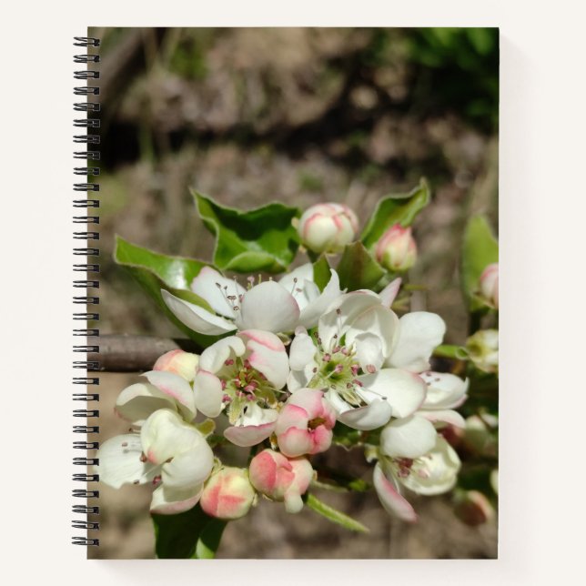 Apple buds flower notebook (Front)