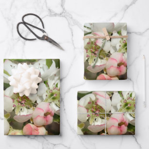 Apple buds flower wrapping paper sheet