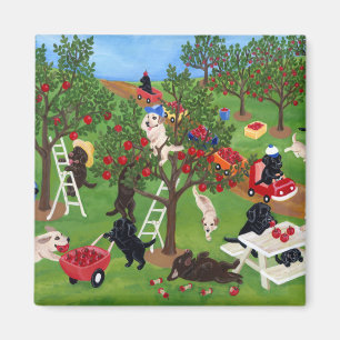 Apple Farm Labradors Magnet