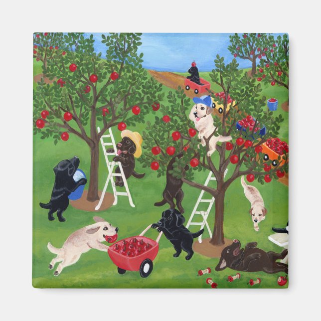 Apple Farm Labradors Magnet (Front)