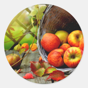 Apple Harvest Classic Round Sticker