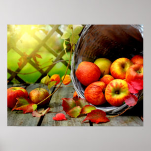 Apple Harvest Poster