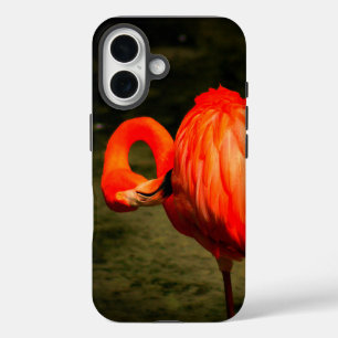 APPLE i PHONE CASE WITH A FLAMINGO DESIGN