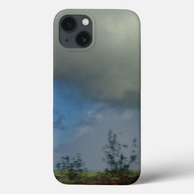 apple iphone13 case art and design  (Back)