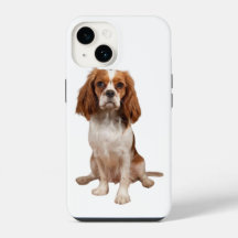 Apple iPhone 14 case with King Charles Cavalier
