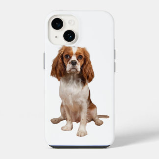Apple iPhone 14 case with King Charles Cavalier