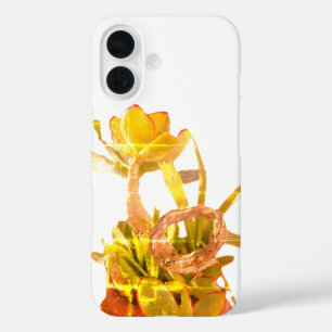 apple iphone 16 style and design case