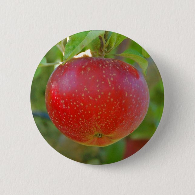 Apple Lobo 6 Cm Round Badge (Front)