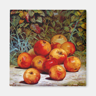 Apple Magnet