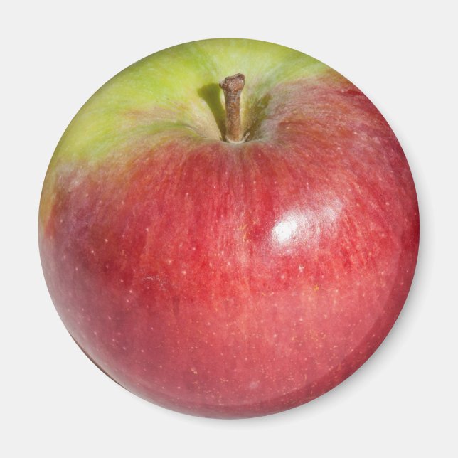 Apple Magnet (Front)