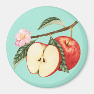 Apple Magnet
