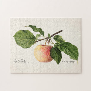 Apple (Malus Domestica) Fruit Watercolor Painting Jigsaw Puzzle