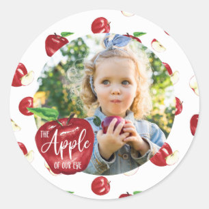 Apple of Our Eye, Birthday Party Girl, Boy Classic Round Sticker