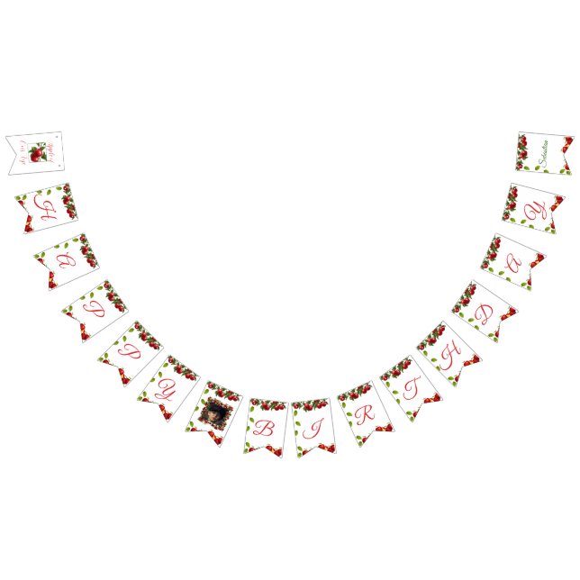 Apple of Our Eye Photo Happy Birthday Banner (All)