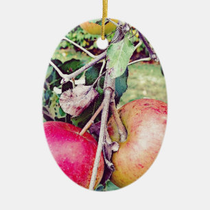 Apple Orchard Ceramic Tree Decoration