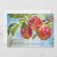 Apple Orchard