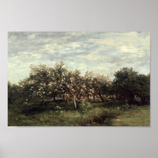 Apple Orchard Landscape Art Print Vintage Country