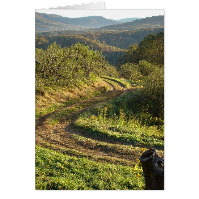 Apple Orchard, North Carolina (Front)