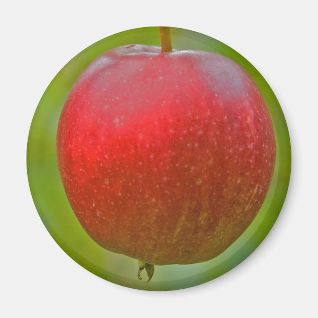 Apple Summer Red Magnet (Front)