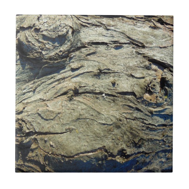 Apple Tree Bark Texture Tile (Front)
