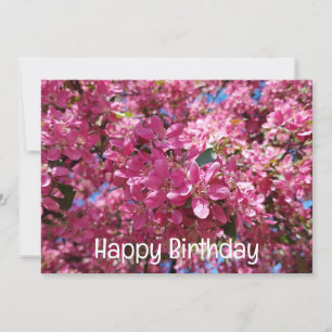 Apple tree blooming. Pink flowers. Happy Birthday Holiday Card