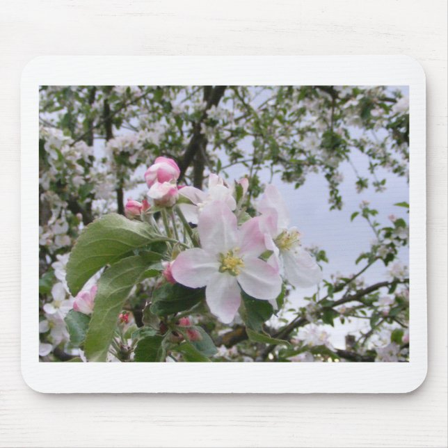 apple-tree blossom mouse pad (Front)