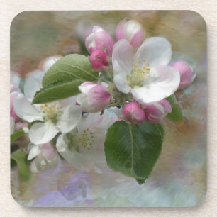 Apple Tree Blossoms Coaster